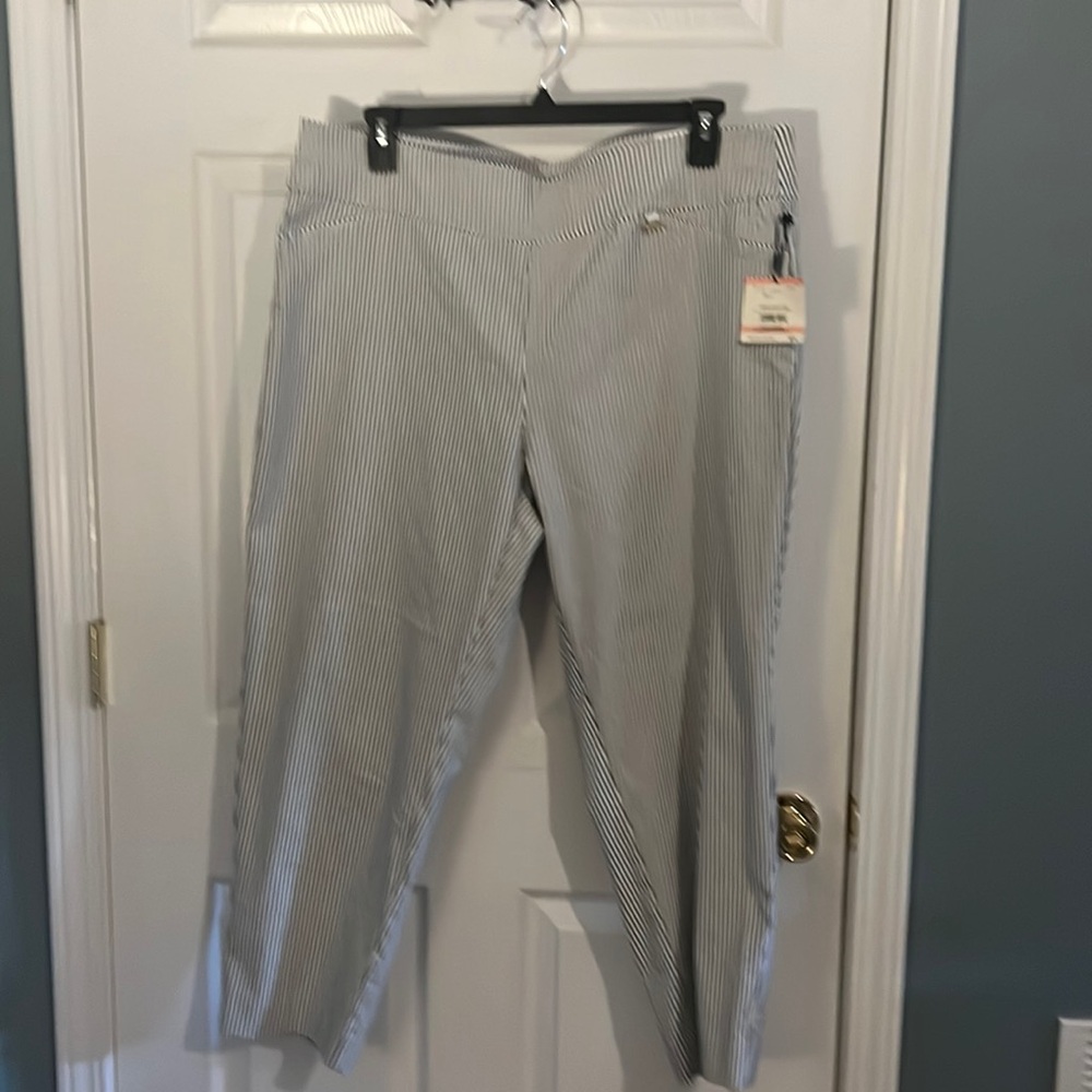 Nwt Anne Klein pinstripe slim ankle pant 2x